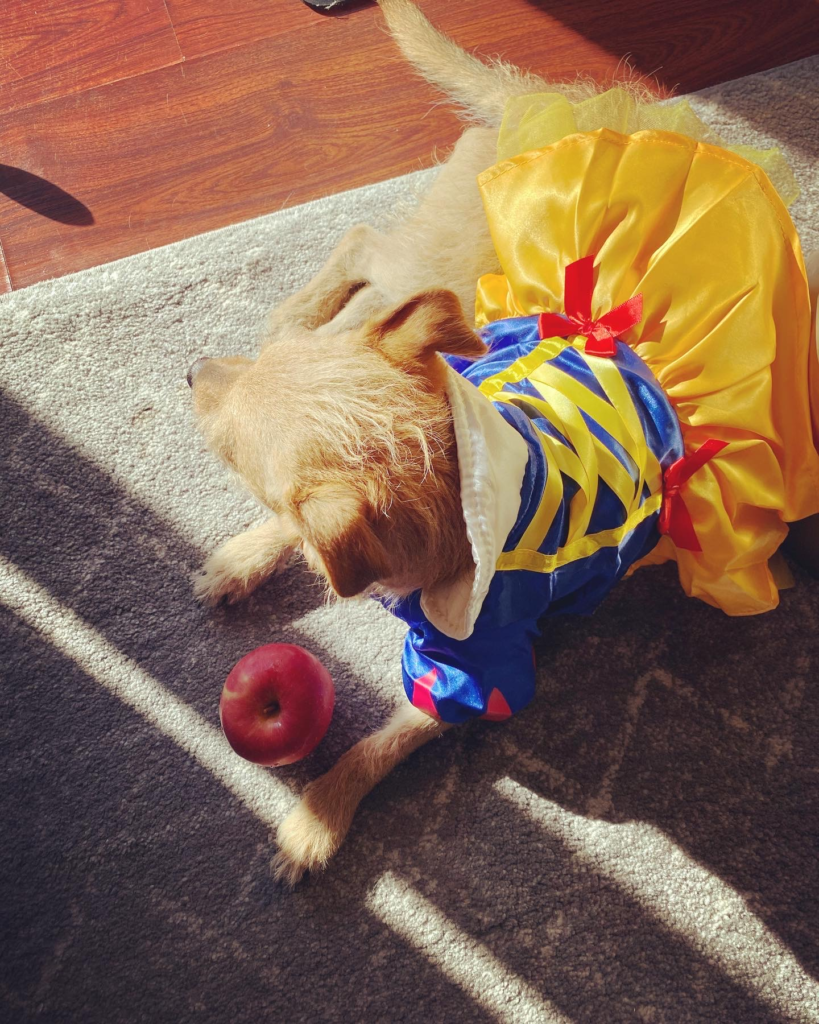 Last Minute Halloween Costumes