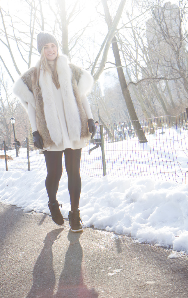 A Snowy Central Park | My Stiletto Life