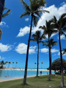 what to do in hawaii